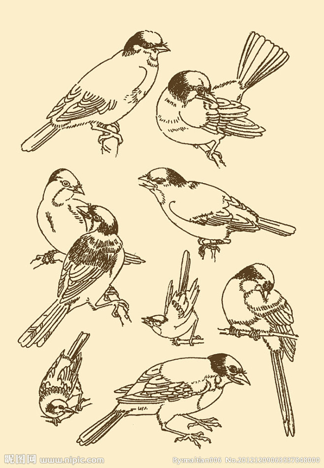 中国纹样白头翁大图点击还原