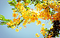 flowers nature sunny wallpaper (#1636198) / Wallbase.cc