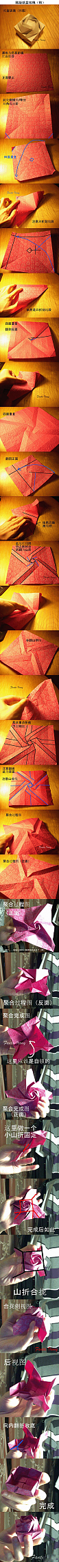 DIY美美的韩版纸盒玫瑰折纸~（图源自网络…