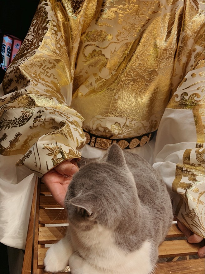 过肩五爪蟒袍织金纱布料 曳撒 道袍 直身 圆领袍 贴里-淘宝网