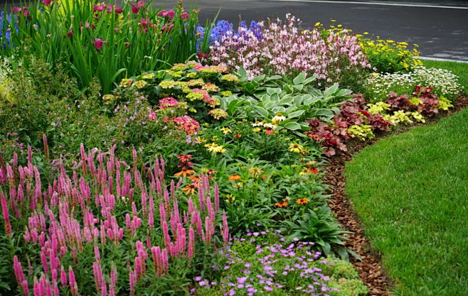 芦苇植物景观设计研究中心