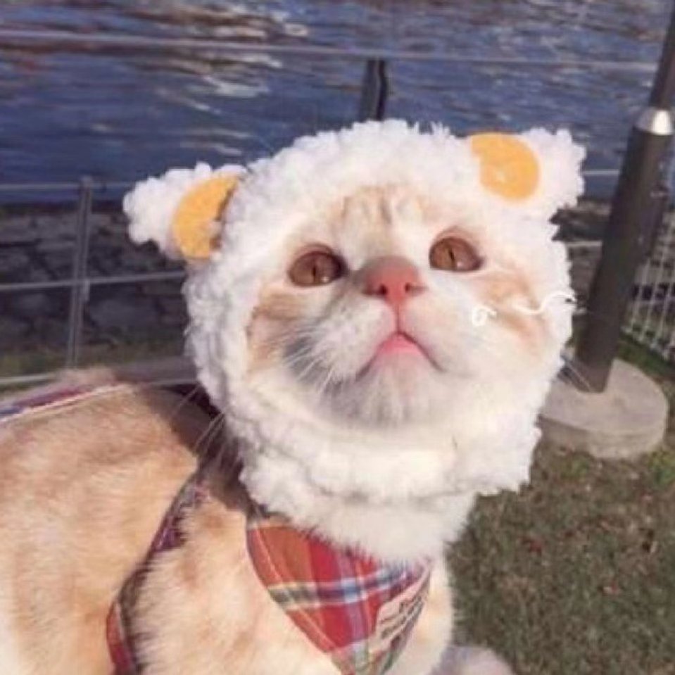 小小小小红脸