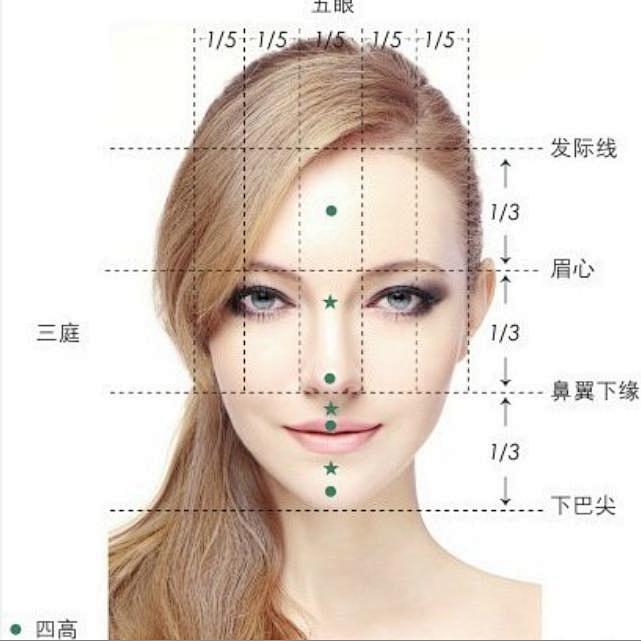 标准脸型的黄金分割图图片