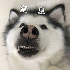 表情包