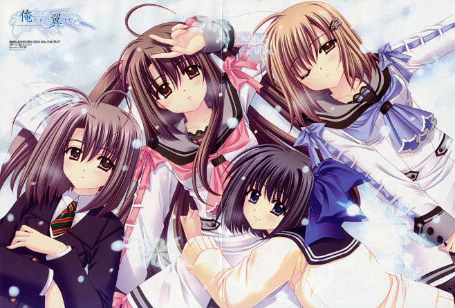 我们没有翅膀泠鸢yousa