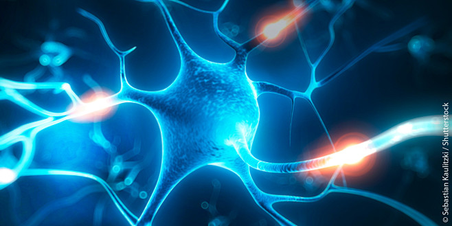 cell的图片搜索结果