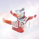 邓布0多肉