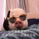 南枫菇凉