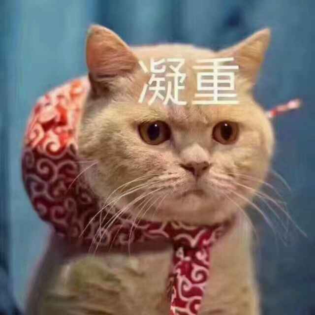 头像