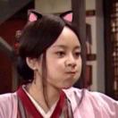 橘猫糖浆