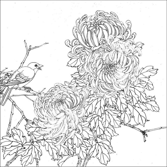 面壁卧薪从海呦转采于2014-04-24 12:50:57白描花鸟线稿绘画面壁卧薪