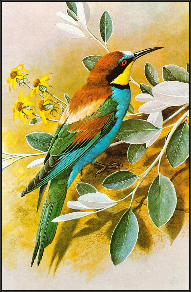 唯美工笔画鸟28