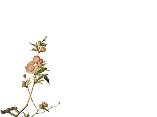 古风免抠素材12月原图均来自网络侵删歉禁商用┋笔墨书香┋古风圈古韵