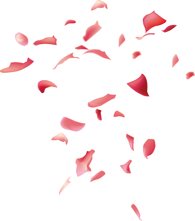 花玫瑰花玫瑰花玫瑰花花瓣漂浮元素免抠png图片壁纸