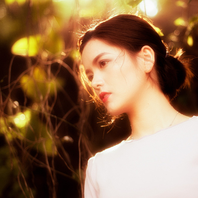 头像参考光影参考摄影小清新暮光夕阳