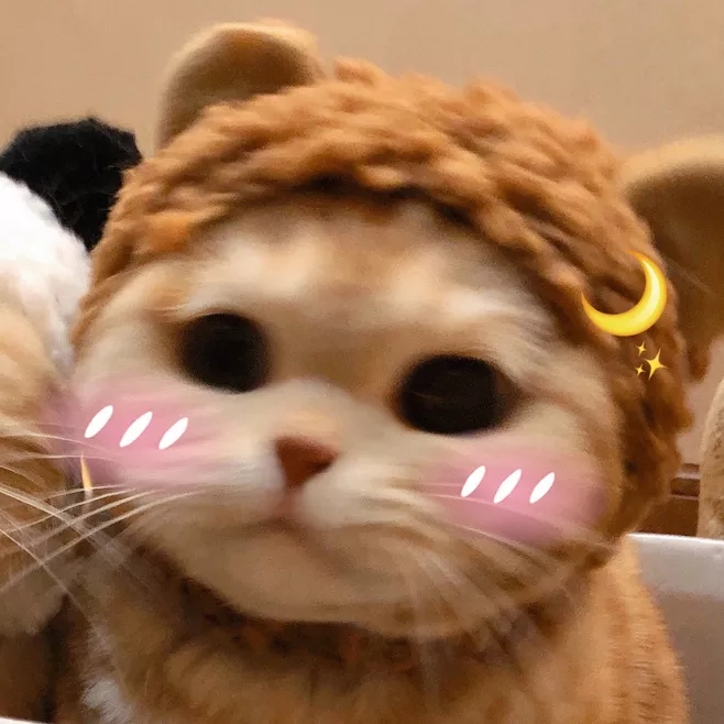 是翾翾