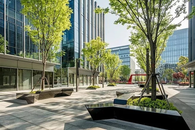 商业街规则式种植