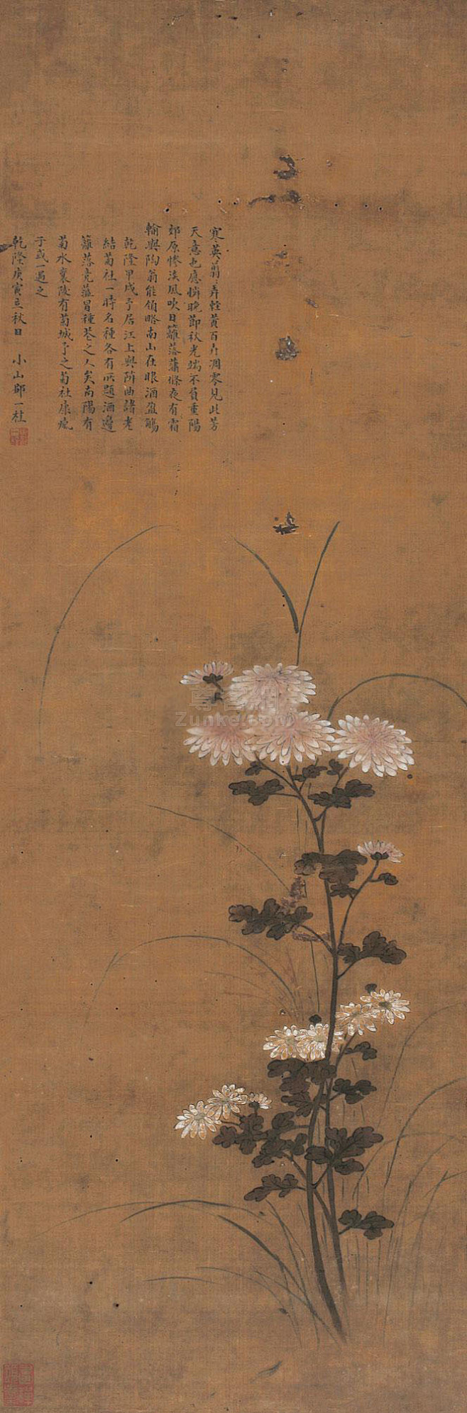 20:51:15邹一桂 菊花 镜心 绢本作品欣赏古画11dljs同采自lib