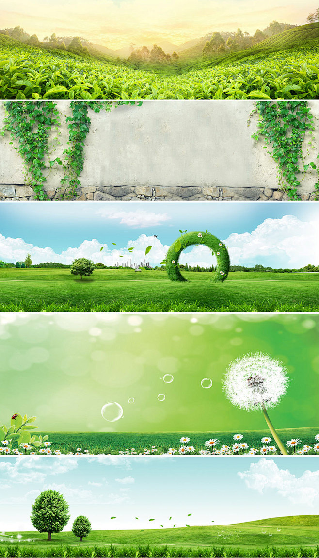 清新自然绿色春天树叶草地banner海报