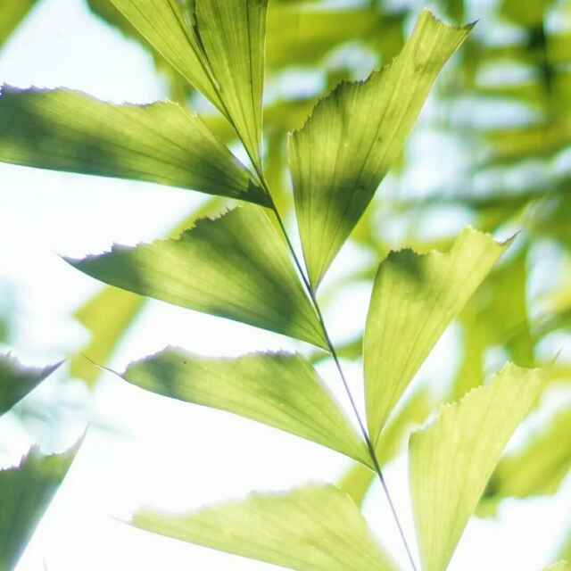 migo莹