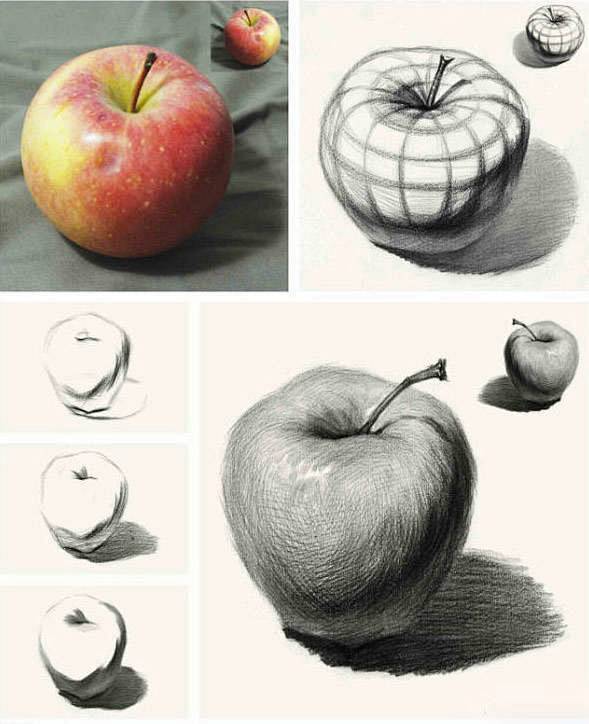 美术高考基础教学素描静物单个物体刻画详解苹果是素描静物中最神奇也