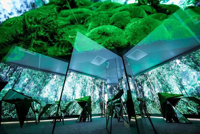 ar秘密花园真人互动黑科技场景