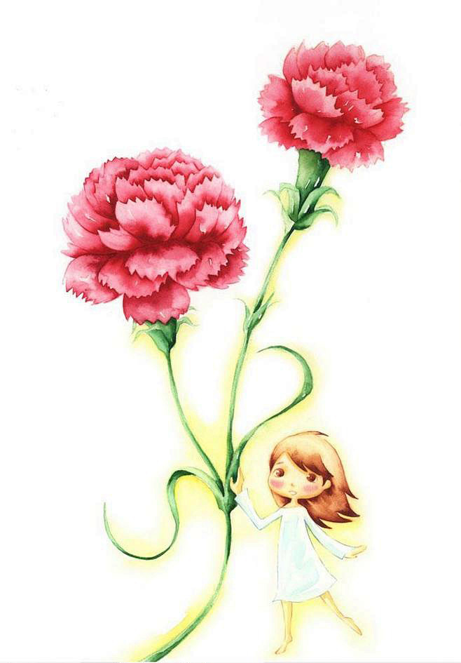 康乃馨的拇指姑娘