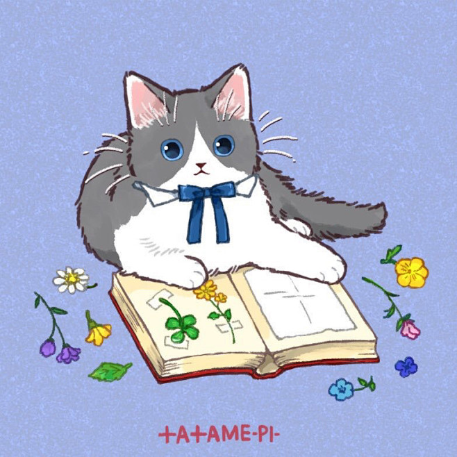 猫咪头像图源twittertatamepi