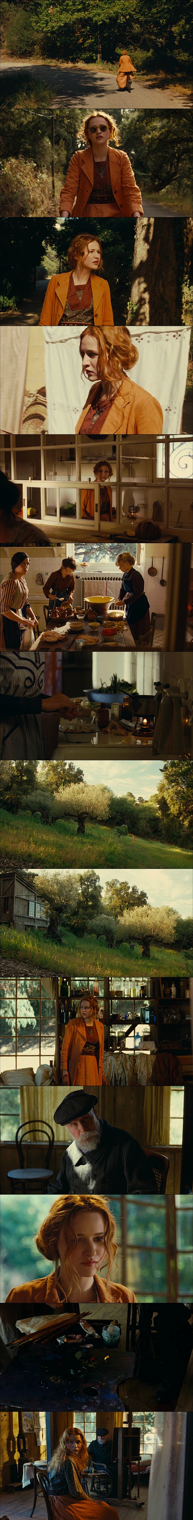 雷诺阿renoir2012br电影电影海报电影截图电影剧照