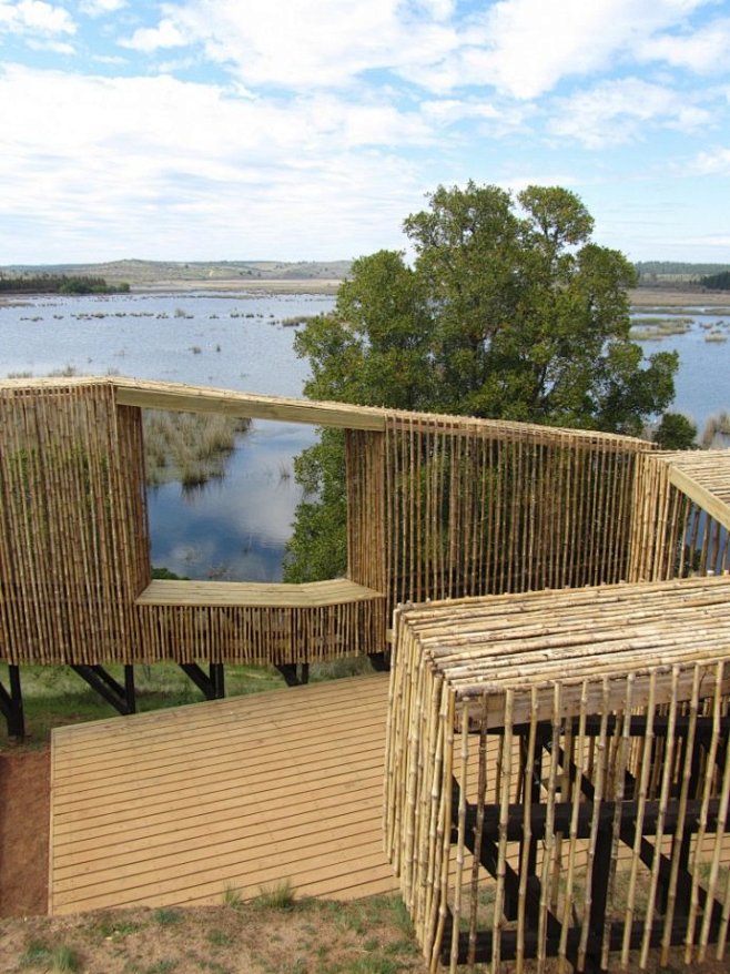 景观构筑物智利cauquenes观鸟台