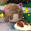 さくらいそら