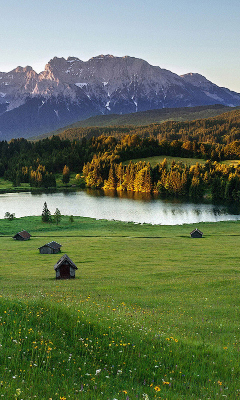 唯美高清风景图片480800手机壁纸大全风景芒果唯美图片mangowedcom