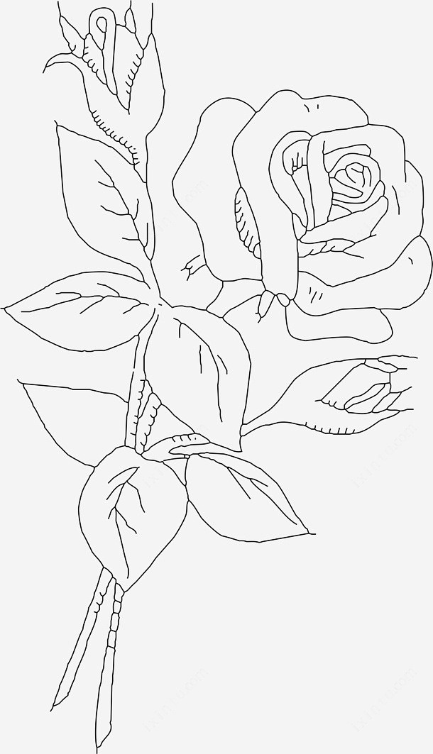 一支玫瑰花线稿
