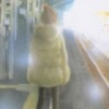 galiyouyou