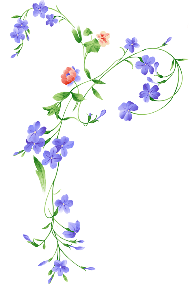 轻诵悠歌从好好学习78转采于2021-04-06 11:27:48藤蔓素材轻诵悠歌