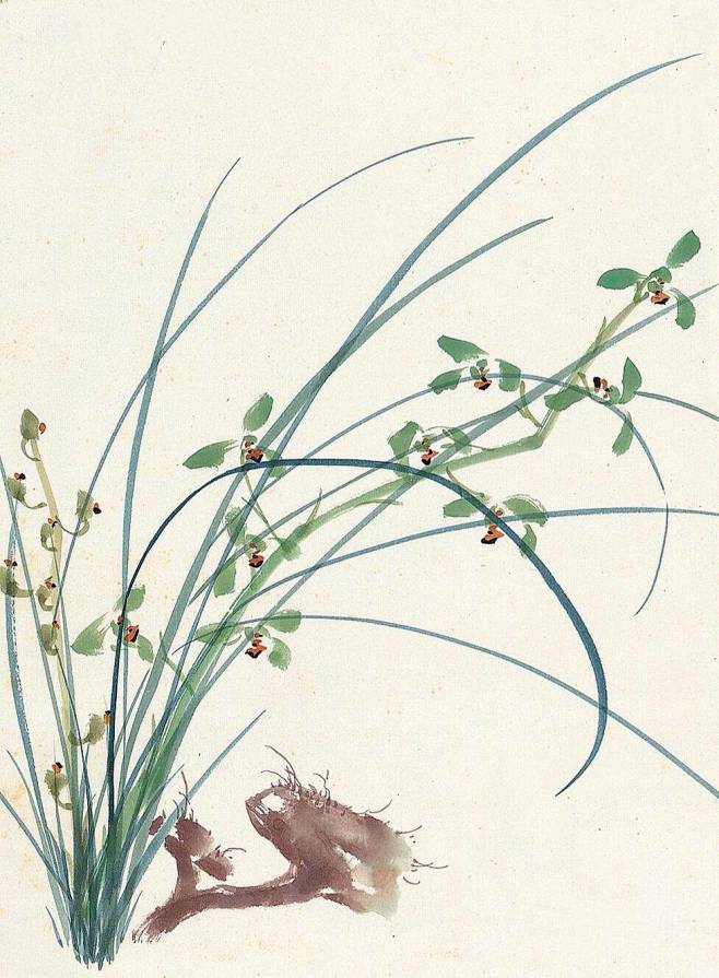 心若幽兰静如止水