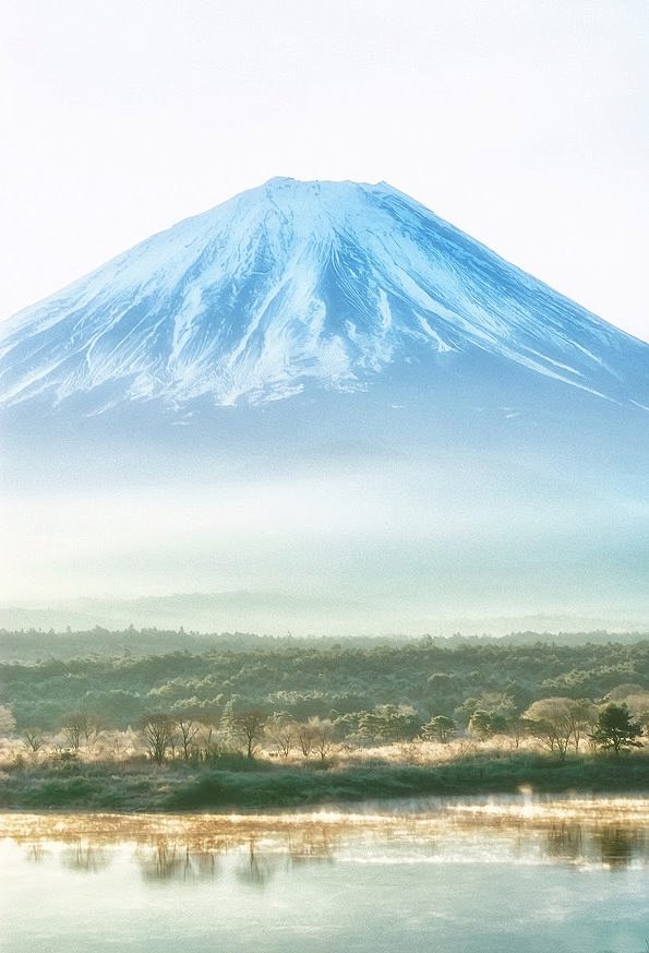 富士山与树海