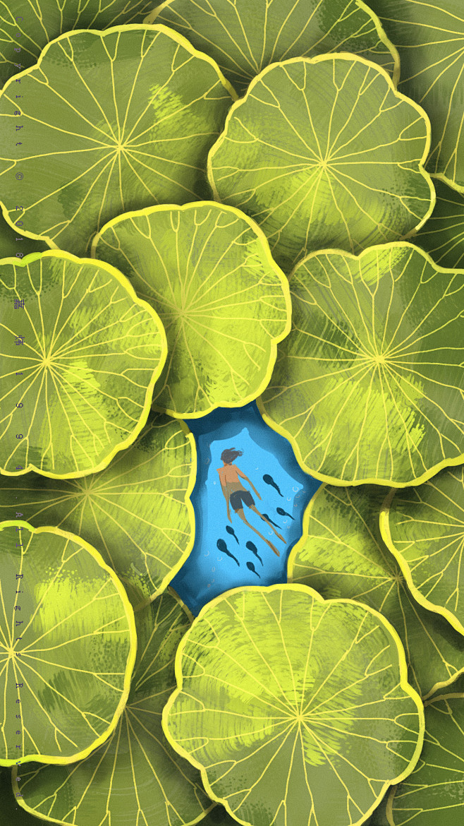 14:33:51夏至  br/>浮萍漂动,吹过一缕清风 br/>作者:嘉炜1994cg-插画