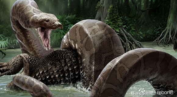 图片rebor2020泰坦巨蟒可动模型评测rebor吧百度贴吧