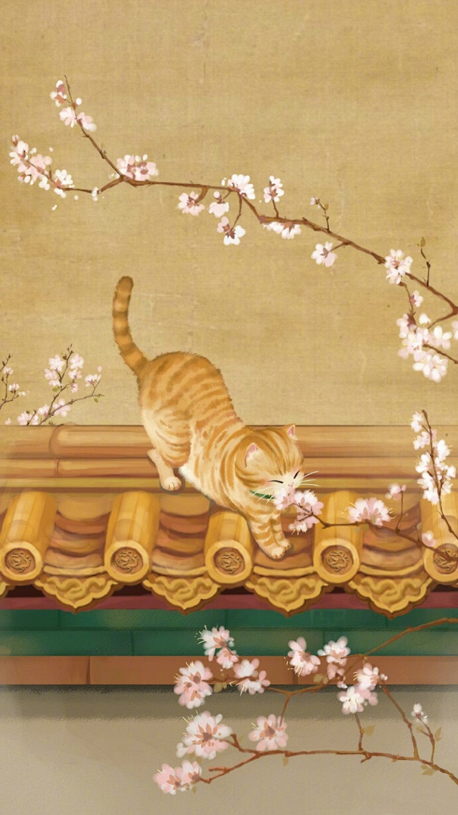 宫猫记故宫博物院