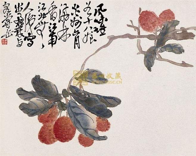 画家吴昌硕荔枝图