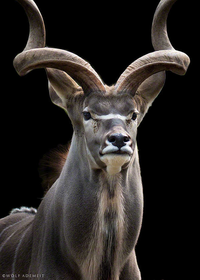 櫒薏販jyr掔no,(曵漽g⒍夰覬q