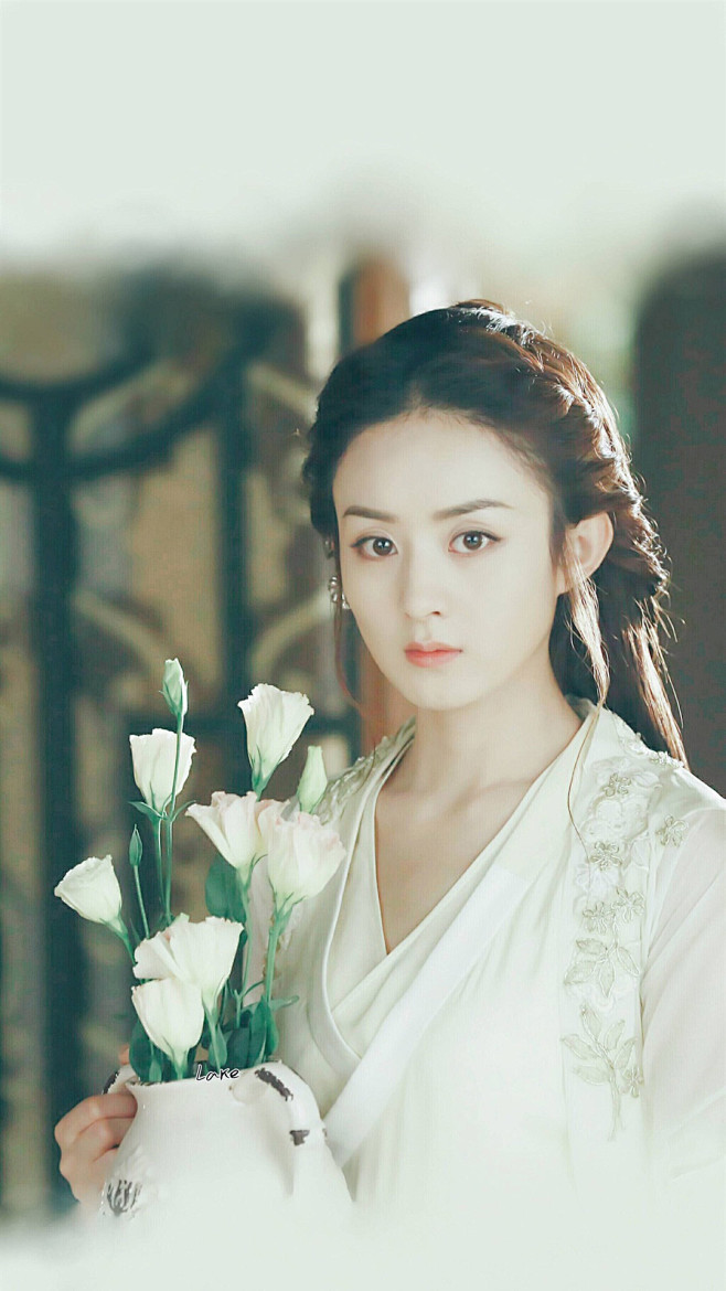 楚乔传楚乔星儿赵丽颖