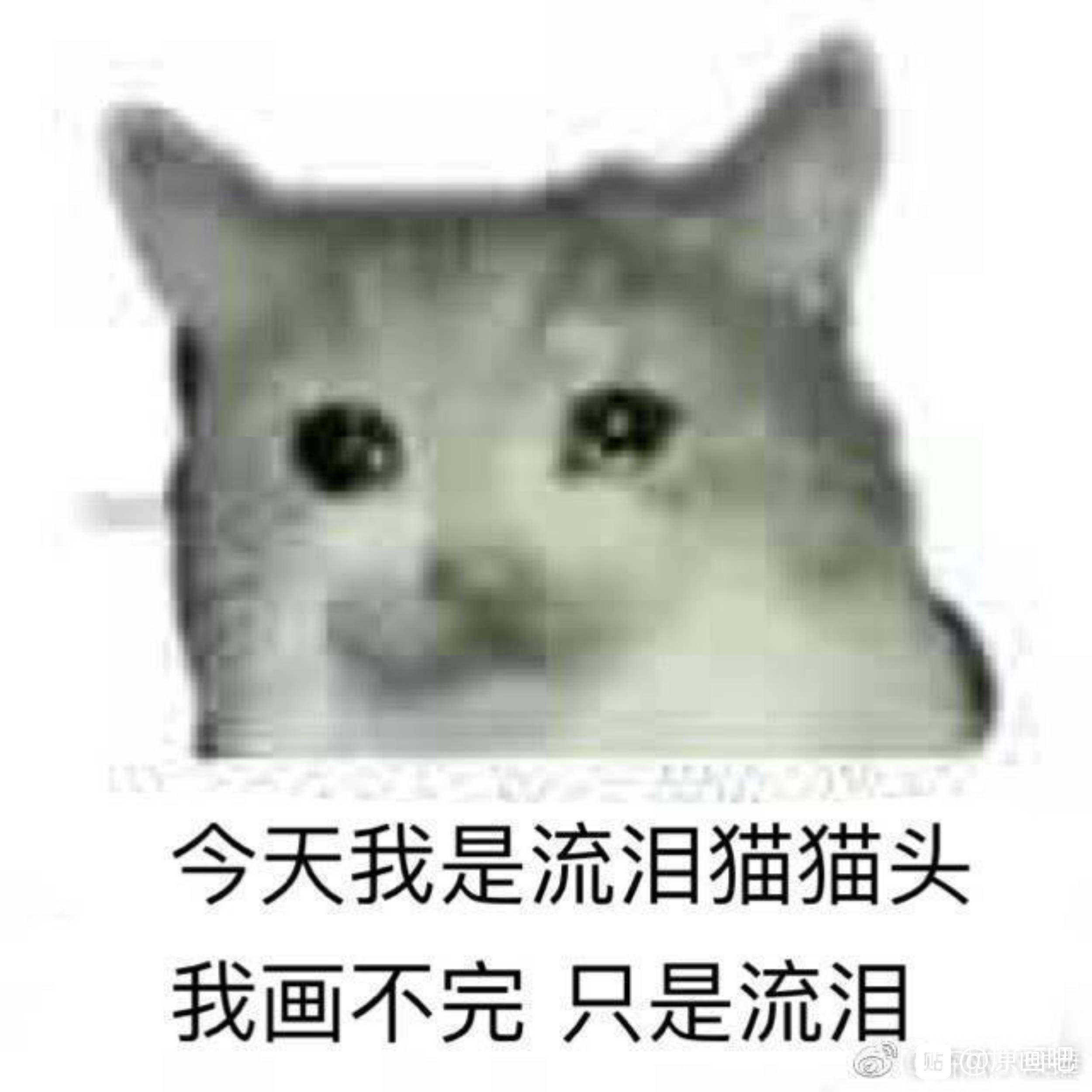 烤鱼u