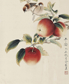 国画花鸟虫鱼草木