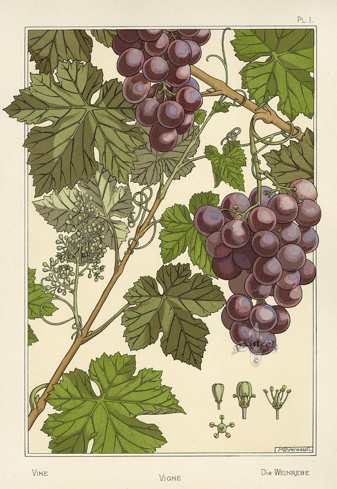 eugenegrassetpochoirprints1896