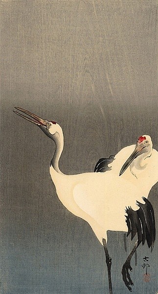 小原古邨日本绘画作品