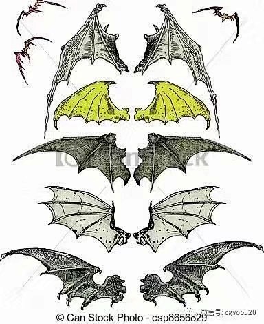 11:03:00龙 翅膀动物xiaomiguo8该采集也在以下画板加载更多