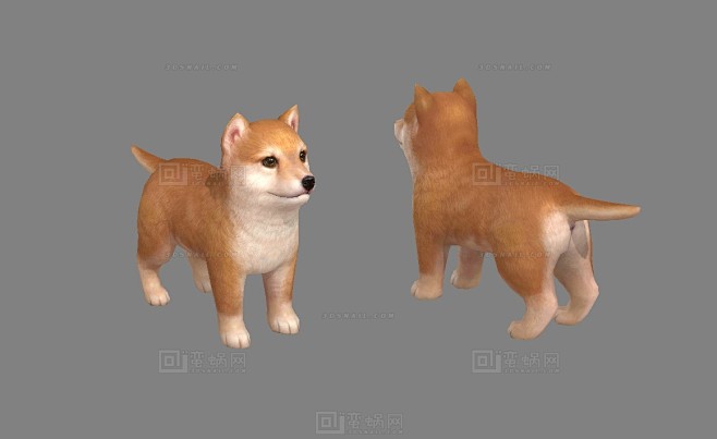 com洛luo_从蛮蜗网转采于2020-07-13 16:15:32动物洛luo_同采自www.