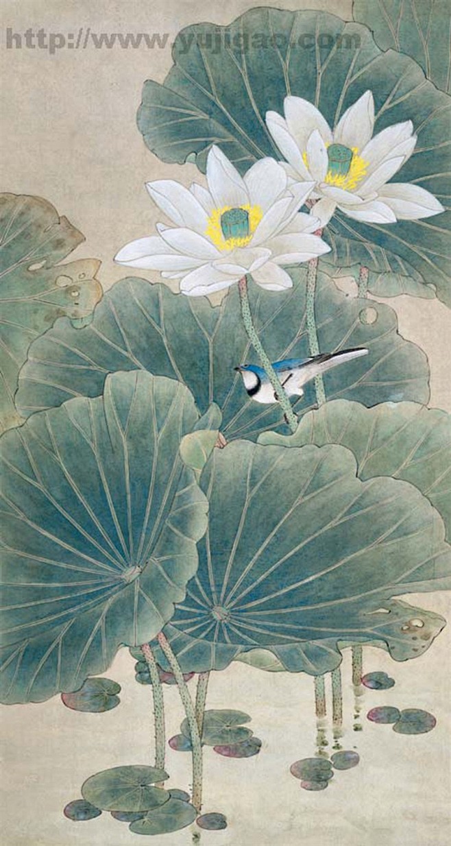 gx9ha_pure从~赏~转采于2016-04-14 16:42:31工笔花鸟工笔画gx9ha